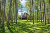 Driftwood Lodge | Cozy Castle Rock Lake Escape